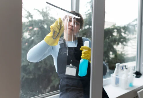 Nettoyage de vitres intérieures et extérieures à Allègre